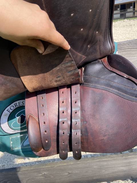 Selle forestier S&eacute;oul C 