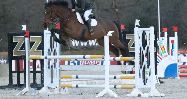 Selle mondange sport 17