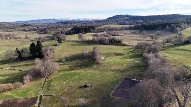 Pension cheval les prairies de la narse