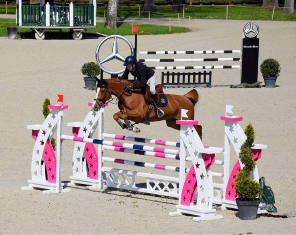 Jument sf 9 ans cso 135cm