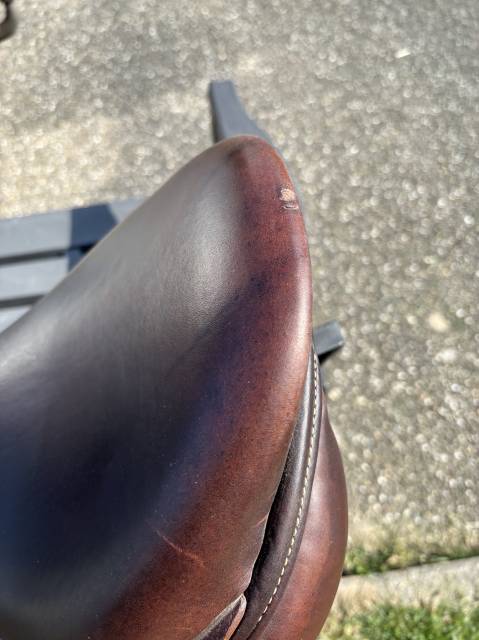 Ensemble Antar&egrave;s complet &ndash; Selle + Bavette + Filet