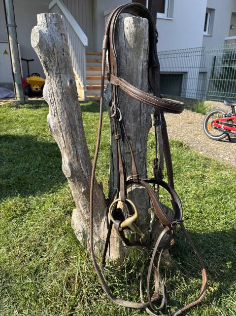 Ensemble Antar&egrave;s complet &ndash; Selle + Bavette + Filet