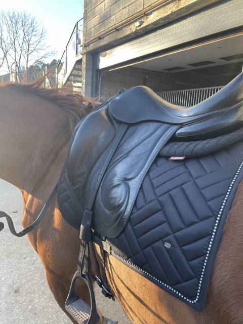 Selle Dressage Antares Cadence 18&rsquo;