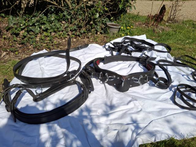 Harnais d'attelage en cuir Taille COB