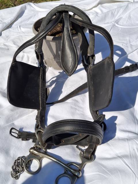 Harnais d'attelage en cuir Taille COB