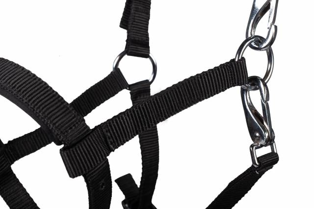 Licol poulain Millie - HKM - Doux et r&eacute;glable