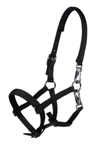 Licol poulain Millie - HKM - Doux et r&eacute;glable