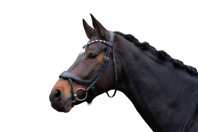 Bridon anatomique Mila - HKM - Cuir rembourré