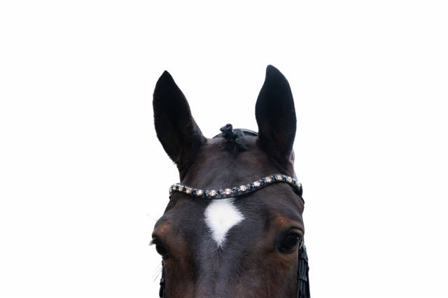 Bridon anatomique Mila - HKM - Cuir rembourr&eacute;