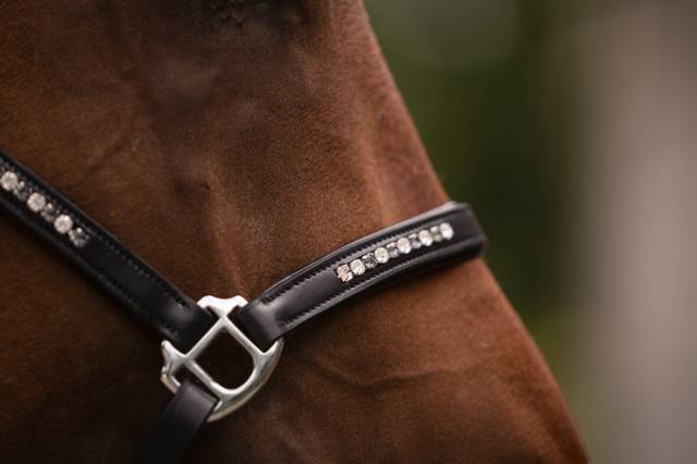 Licol en cuir Sparkle - HKM - Cuir de vachette avec pierres brillantes