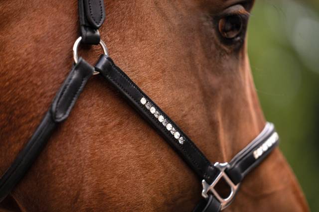 Licol en cuir Sparkle - HKM - Cuir de vachette avec pierres brillantes