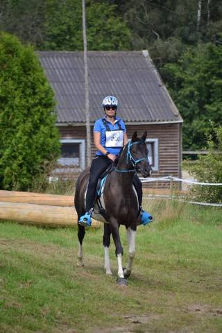 E.s hicero   hongre dsa