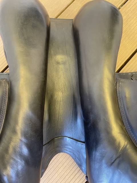 Prestige Dressage Modena 