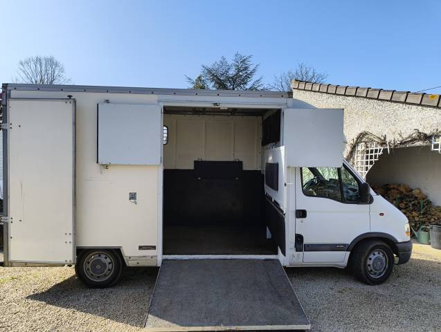 Camion transport  chevaux d'occasion