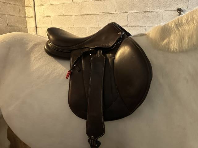 Selle forestier S&eacute;oul 