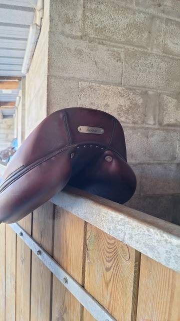 Selle antares confort