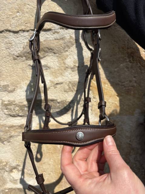 Filet et rênes Antares