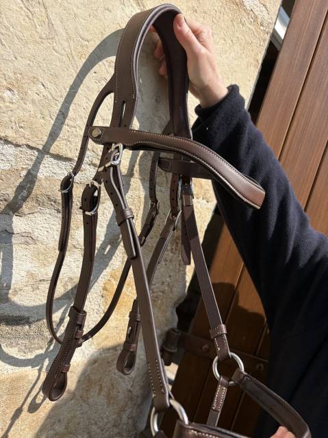 Filet et r&ecirc;nes Antares