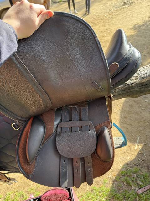 Selle mixte 17,5 pouces 