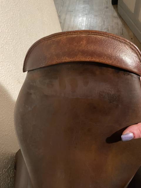 Selle mixte Forestier 17