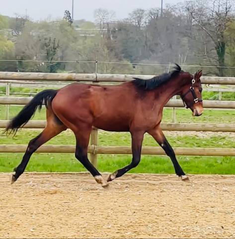 Joli 3 ans polyvalent 