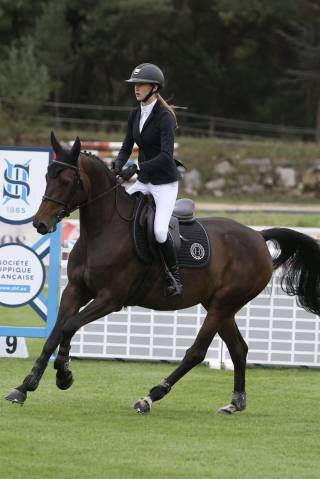 à vendre jument de 5 ans 