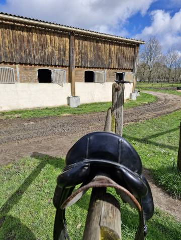 Selle de dressage CWD