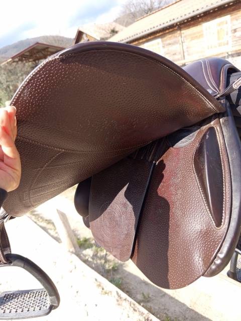 Selle Forestier S&eacute;oul pro  Doubl&eacute;e veau  Petits quartiers (1A)  17' 