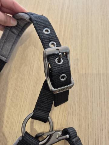 Licol et longe poney Anky