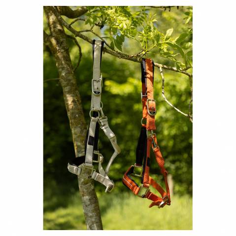 Licol Kimberly - BR - Doublure n&eacute;opr&egrave;ne, r&eacute;glable