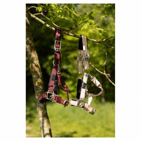 Licol Eevolv Karin - BR - Confort n&eacute;opr&egrave;ne