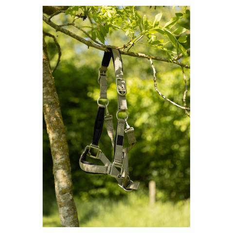 Licol Eevolv Karin - BR - Confort n&eacute;opr&egrave;ne