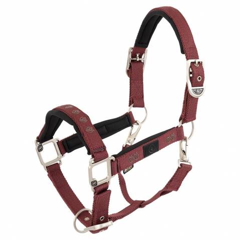 Licol Eevolv Karin - BR - Confort néoprène