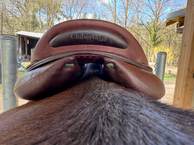 Selle Devoucoux Chiberta Lab 18 pouces 