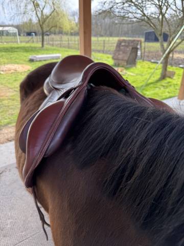 Selle Devoucoux Chiberta Lab 18 pouces 