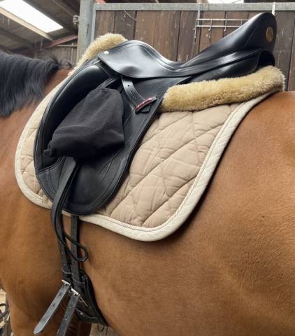 Selle de dressage &Eacute;quipe mod&egrave;le Olympia (2019) &ndash; 17"