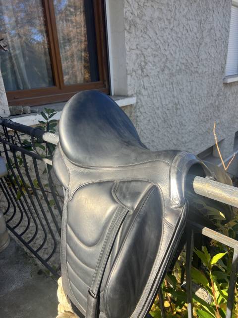Selle de dressage 