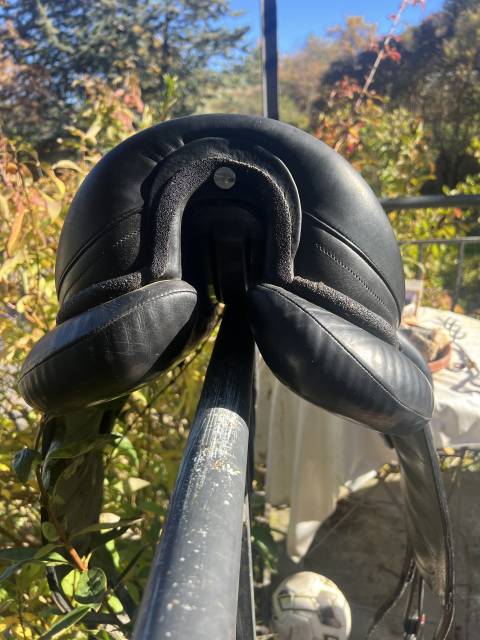 Selle de dressage 