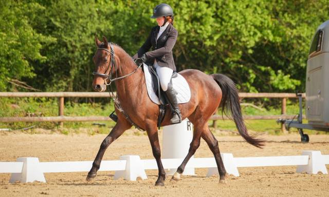 Monitrice d’équitation indépendante 