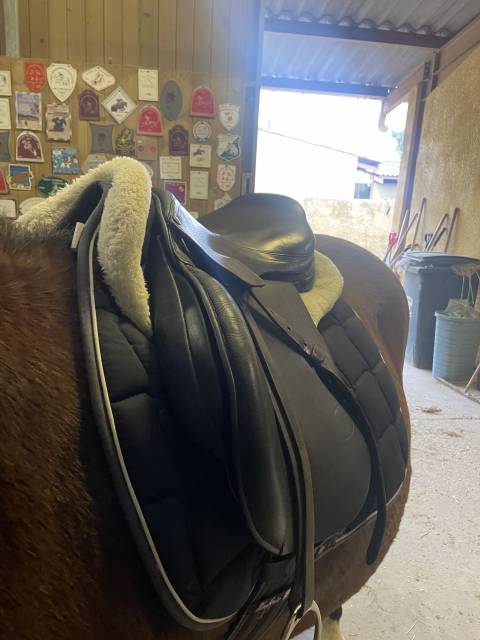 Selle forestier taille 17