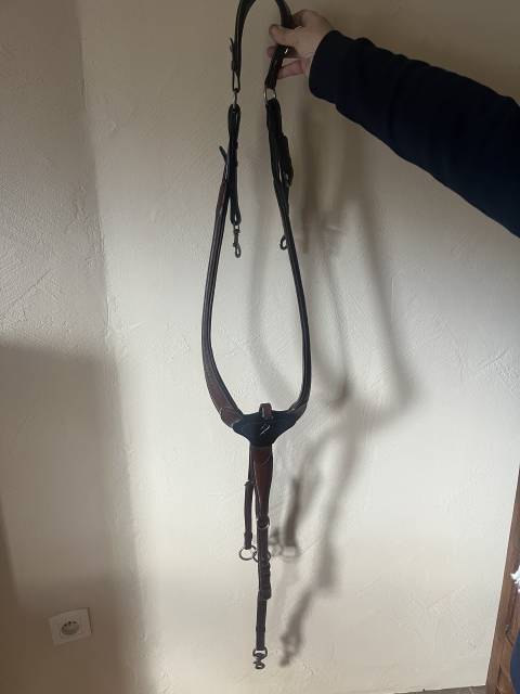 Collier de chasse antares 