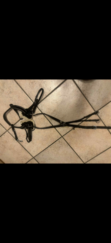 collier de chasse QHP cob noir