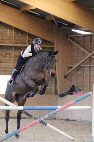 A vendre poulinière 10 ans pleine 