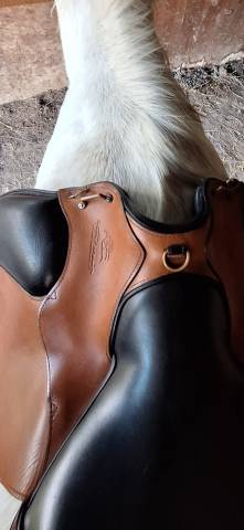 Selle Muze Gaston Mercier 