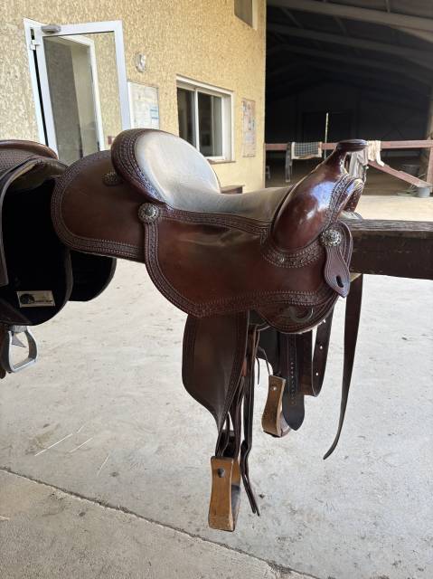 Selle all around western 