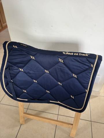 Ensemble Back On Track