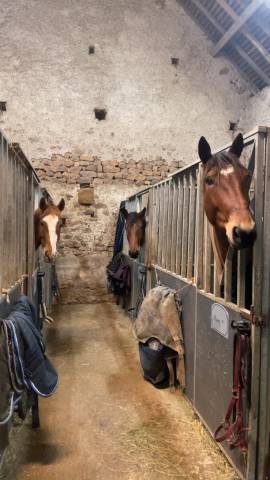 écurie de propriétaire 