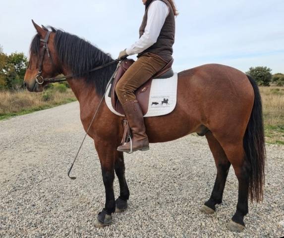 Pre 4 ans cherche sa famille 