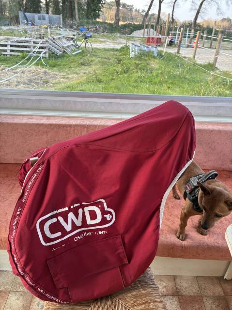 Selle CWD orient&eacute;e cso