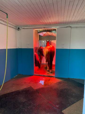 Solarium hipposun avec monnayeur 